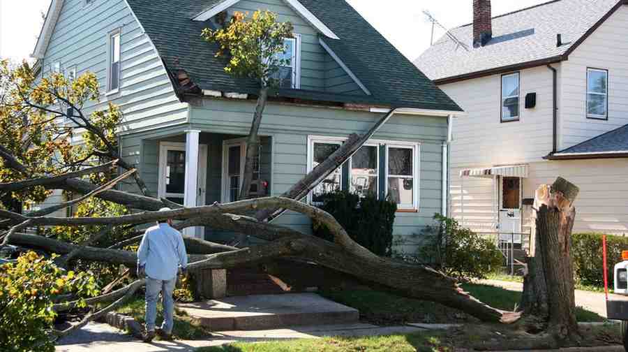 Home Insurance 101: Everything You Need to Protect Your Property